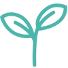 Botanical Blend
