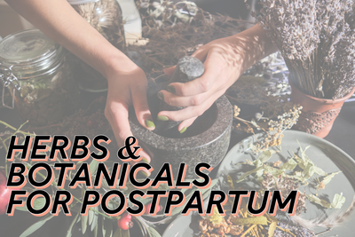 Herbs & Botanicals for Postpartum