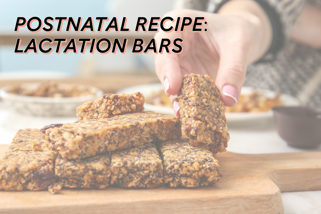 Postnatal Recipe - Lactation Bars