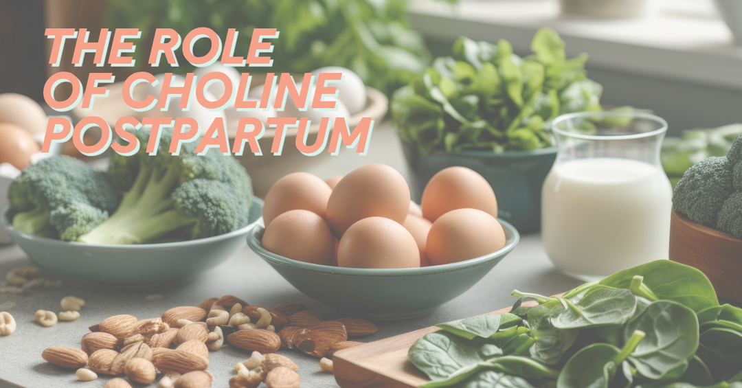 The Role of Choline Postpartum